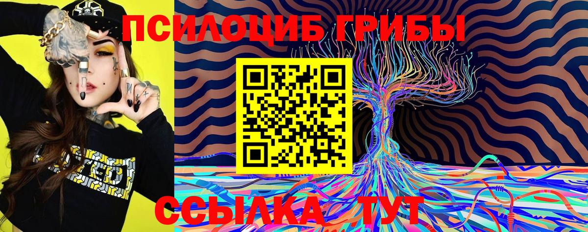 Псилоцибиновые грибы мухоморы  Вход с VPN  закладки  Сунжа 