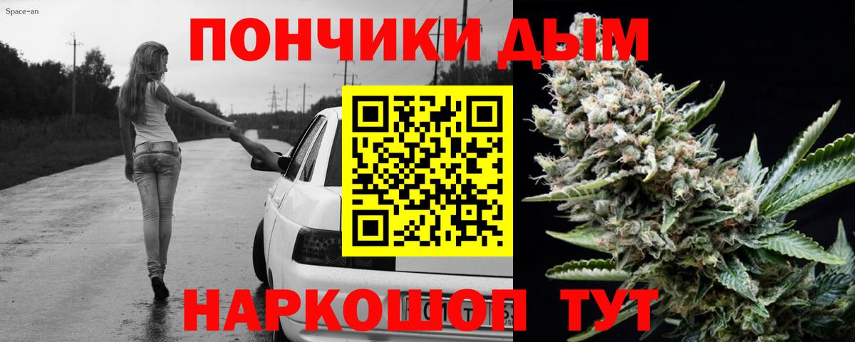 МЕФ Сунжа